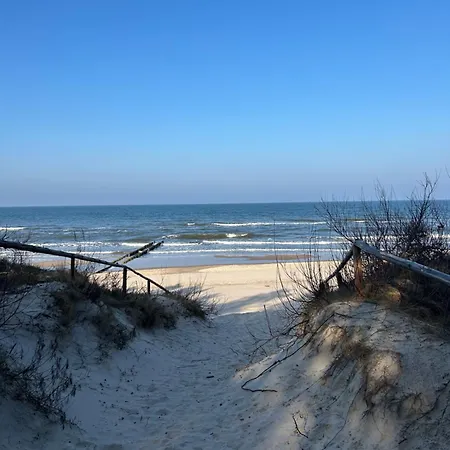 Mistral * Хлопы