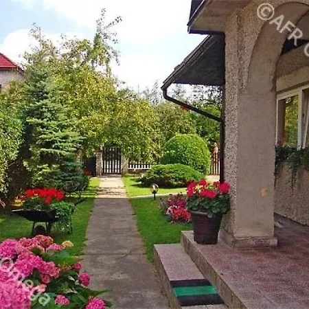 Проживание в семье Mistral