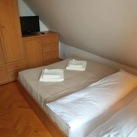 Mistral Проживание в семье